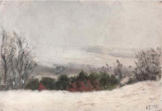 Winter Landscape