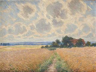 Cloudy Day in the Countryside