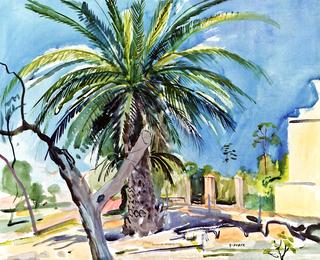 Palm Lined Street in Lapni