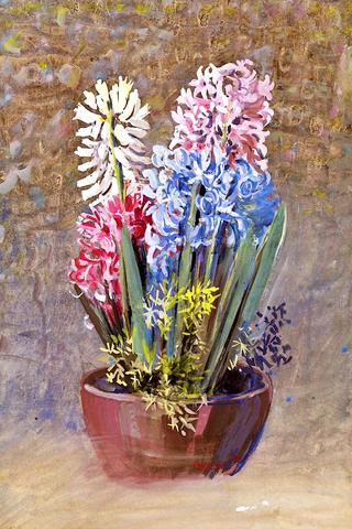 Hyacinths