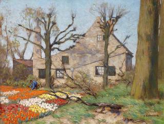 Tulips in the Spring Garden