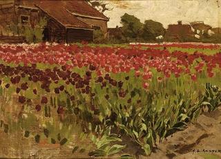 Tulip Field
