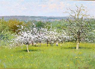 Springtime at Saint Augustin