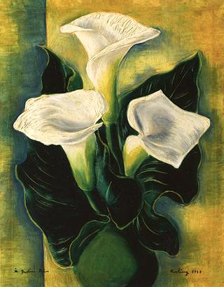 Three Arums