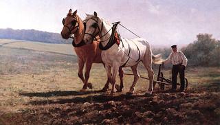 Plowing the Field
