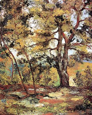 Landscape, La Rose