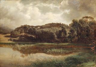 Lake at the Edge of a Forest