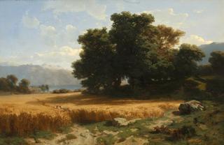 Field at Evian
