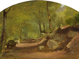 Sun Drenched Forest Path
