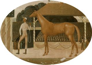 Race Horse