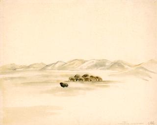 Sylt. A Starving Flock of Sheep in the Snow