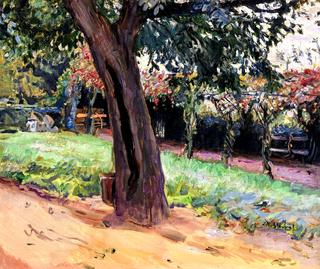 Chestnut in the forecourt of Neukastel