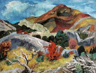 Provence Landscape