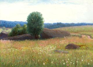 A Blooming Spring Meadow