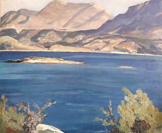 Dalmatian coast