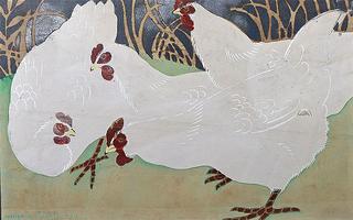 Poules Blanches