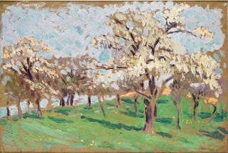 Blooming Trees