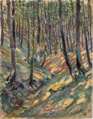 Forest Path