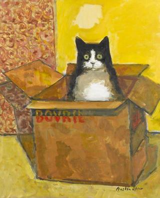 Cat in a Box