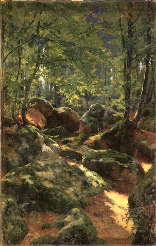 Sunlight Effect, Undergrowth, Fontainebleau