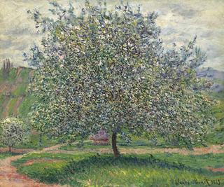The Apple Tree
