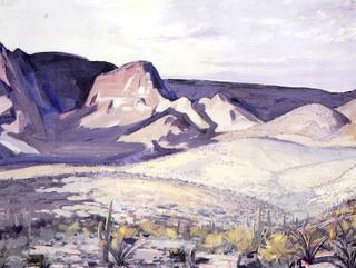 Desert Landscape
