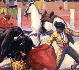 Bull Fight