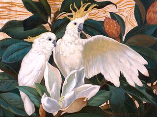 Cockatoos and Magnolia