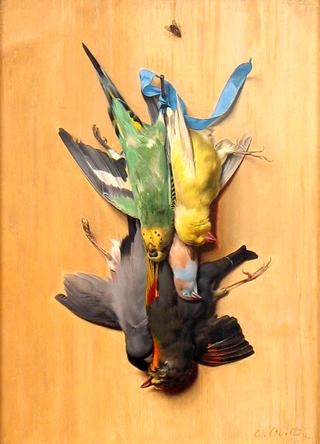 Finches on a Blue Ribbon