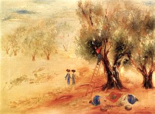 Olive Trees near Safed