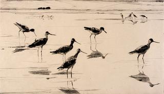 Waders