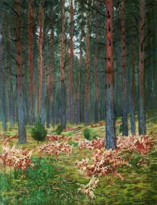 Landscape with Ferns