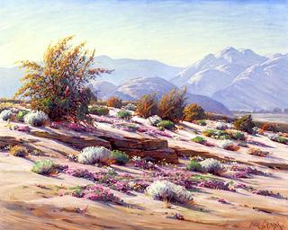 Scened Slopes