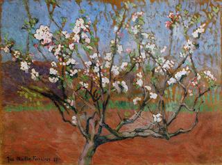 Apple Tree in Bloom
