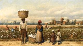 Cotton Picking