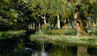 Forest Stream