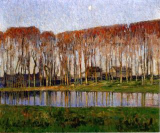 Ukrainian Landscape