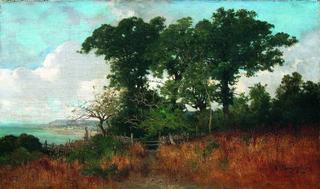 Seaside Landscape