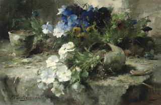 White and Blue Violets