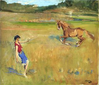 Schooling the Pony