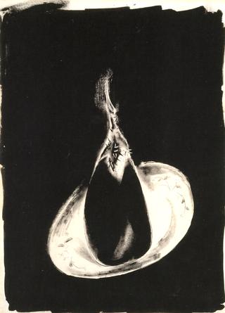 Eggplant