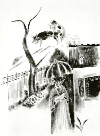 The Widow
