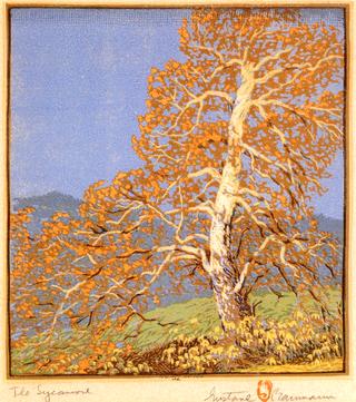 The Sycamore