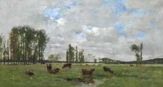 Cattle Grazing