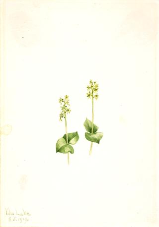 洛矶山吐蕃