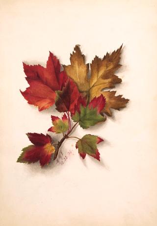 Autumn Leaves