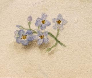 Flower Study