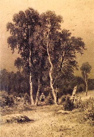 Gathering Mushrooms