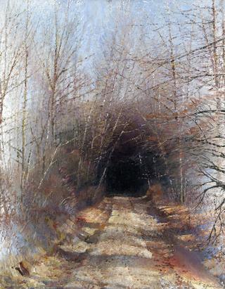Pathway to a Lake