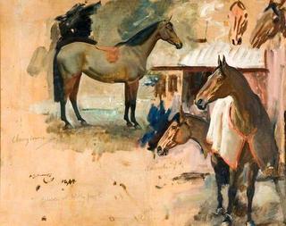 Study of Horses